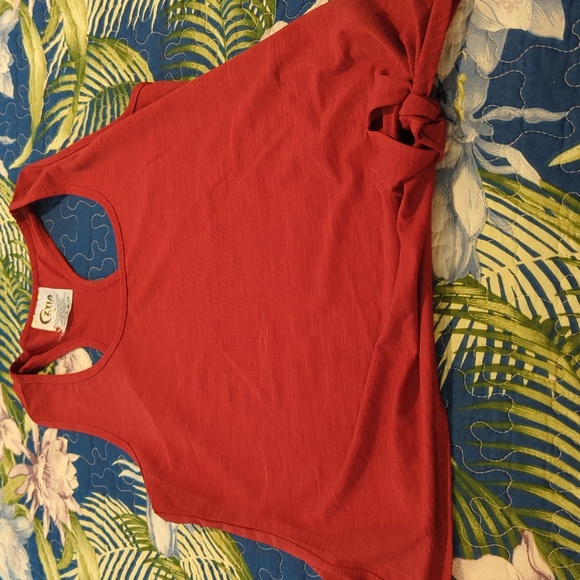 Cute like a new top. I think maybe I wore it once or tried on? - Picture 1 of 3